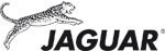 Jaguar Jaguar