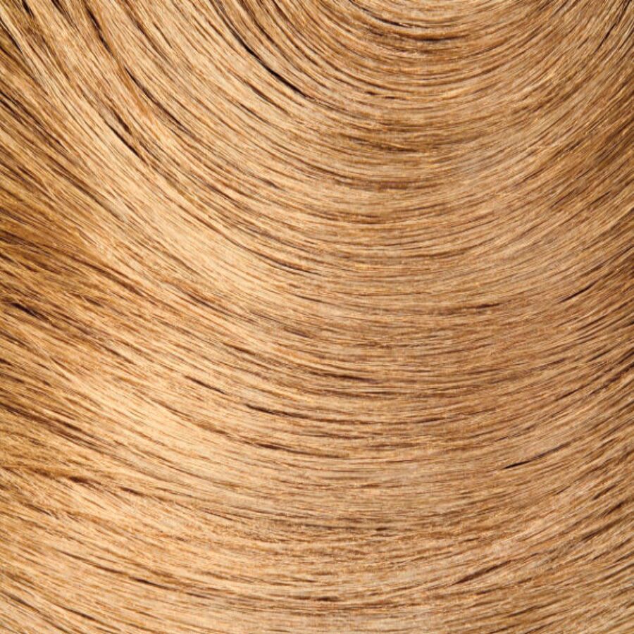 EOS Pflanzenhaartönung,120g